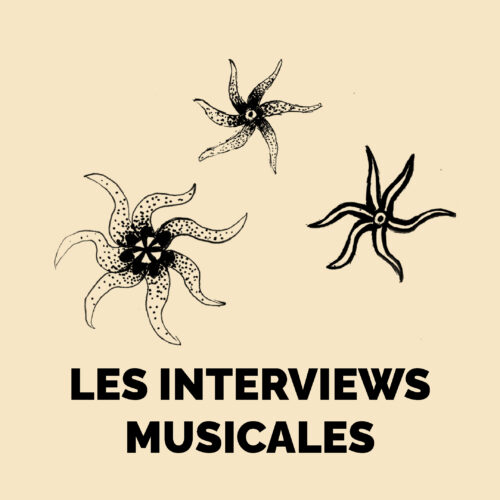 Couverture de la série LES INTERVIEW MUSICALES